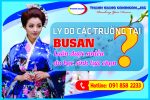 Lý do các trường ở Busan luôn được nhiều du học sinh lựa chọn