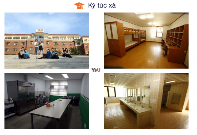 Đại học Youngsan Hàn Quốc - Youngsan University – Thông tin tổng quan