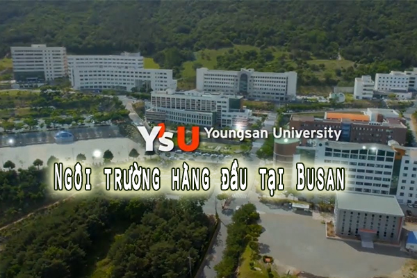 Đại học Youngsan Hàn Quốc – Youngsan University – Thông tin tổng quan