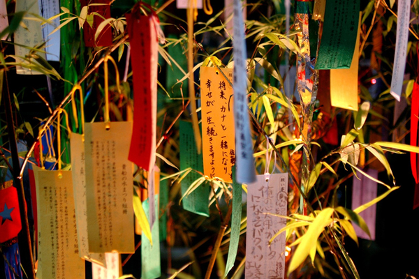 Những cành tre "nặng trĩu" tâm tư trong ngày lễ Tanabata Nhật Bản